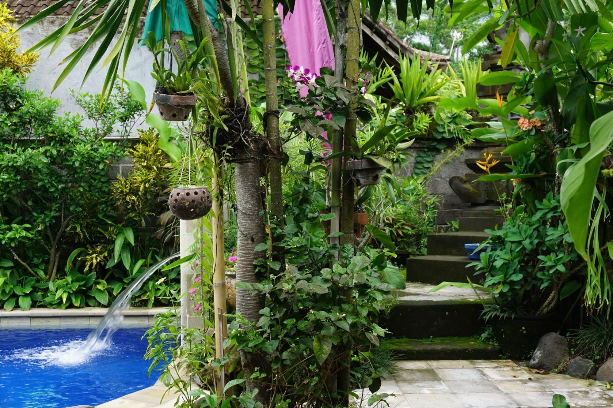 Angel House 3* Ubud